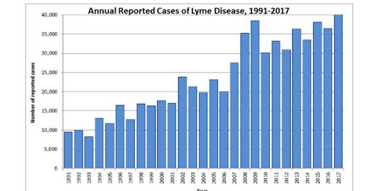 Data CDC yanng menunjukkan laporan kasus lyme disease pada 1991-2017.