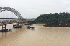 LIPI Temukan Lele Spesies Baru di Sungai Mahakam