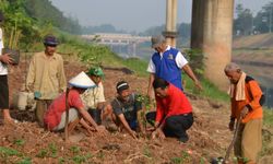 Pasokan Sayuran Ibukota Dioptimalkan dari Bantaran Kanal Banjir Timur