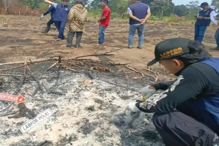 Dari Remaja 18 Tahun hingga Kakek 73 Tahun, 5 Warga OKI Ditangkap karena Bakar Lahan