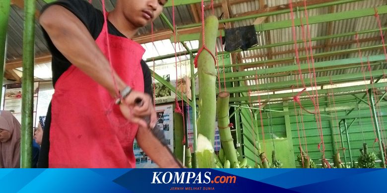Rumus Pembagian SHU Koperasi