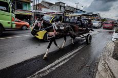 Kisah Kusir Delman Terimbas Kebijakan Mudik KBB: Masa Iya Sekarang Harus Susah Lagi?