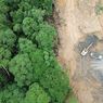 Mempertanyakan Klaim Penurunan Laju Deforestasi