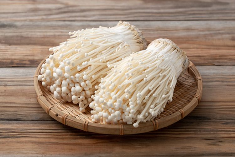 Ilustrasi jamur enoki