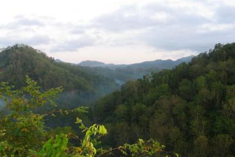 Foto kawasan Suaka Margastwa Sermo.