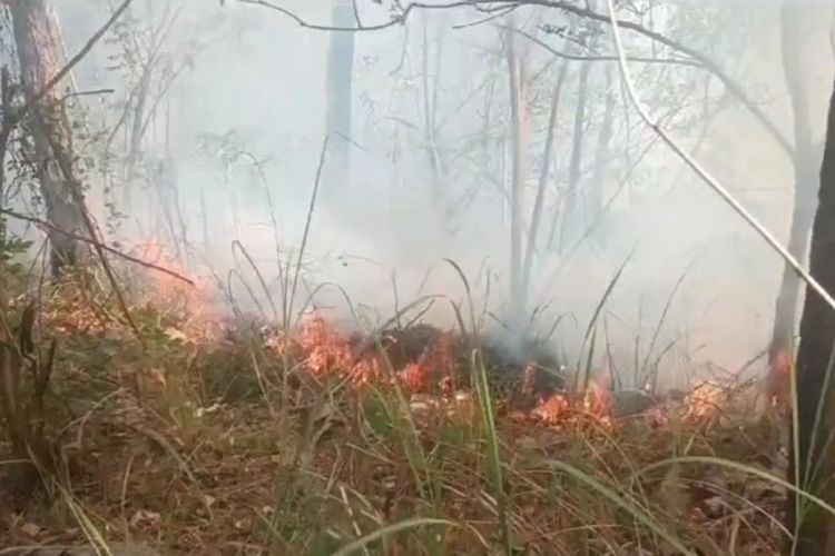 Kebakaran kawasan hutan lindung Egon Ilinmedo di Desa Egon Buluk, Kecamatan Waigete, Kabupaten Sikka, NTT, Senin (16/10/2023)