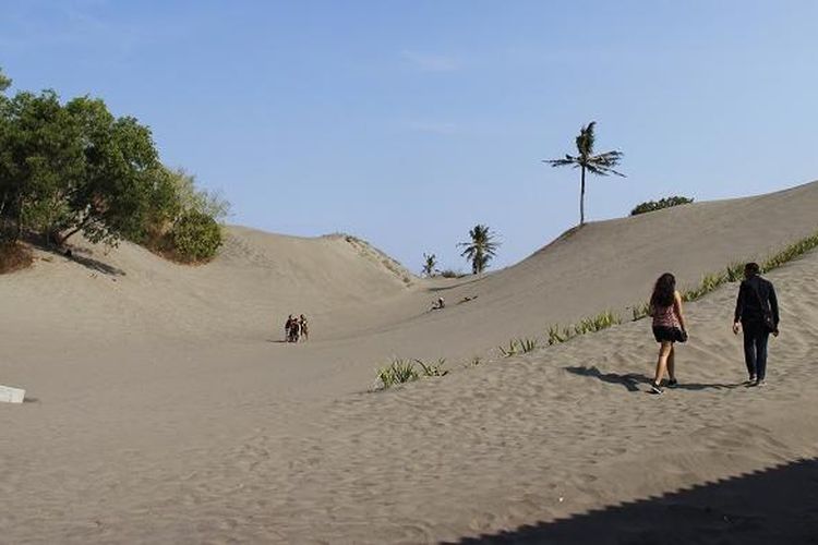 Wisatawan mengunjungi obyek wisata gumuk pasir Parangkusumo, Kecamatan Kretek, Bantul, Daerah Istimewa Yogyakarta, Minggu (23/8/2015). Sebagian wisatawan memanfaatkan gumuk pasir untuk melakukan permainan sandboarding.