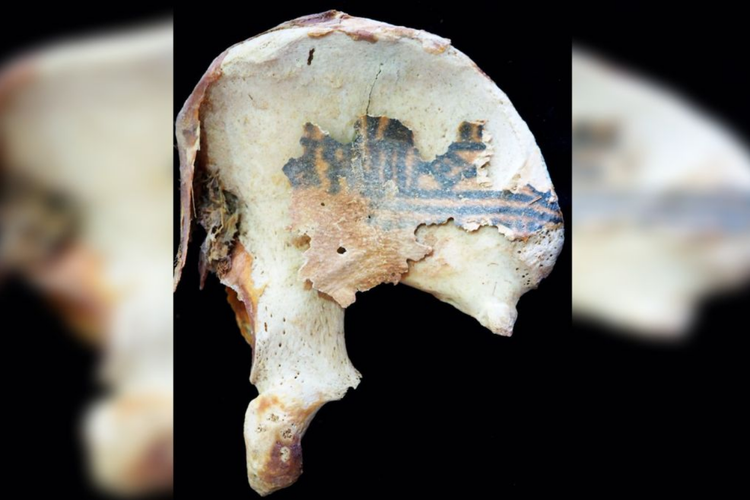 Tato di tulang pinggul kiri mumi wanita Mesir yang dimakamkan di Deir el-Medina 