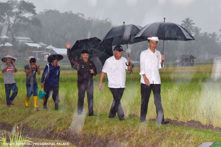 Presiden Joko Widodo didampingi Menteri Pekerjaan Umum dan Perumahan Rakyat Basuki Hadimoelyono dan Wakil Bupati Tanah Datar Zulfadri Darma saat meninjau pembangunan saluran irigasi desa, Kamis (8/2/2018). 