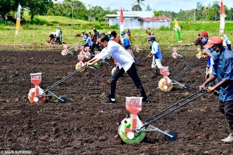 Foto unggahan Instagram Presiden Joko Widodo, @jokowi: Presiden Joko Widodo menanam benih jagung bersama para petani di Kelurahan Klamesen, Kabupaten Sorong, Papua Barat, Senin (4/10/2021). 