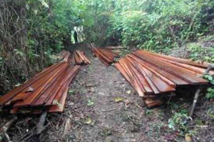Puluhan kayu ulin ilegal loging siap jual diamankan petugas TNK Sangatta, Kutim, Kaltim.