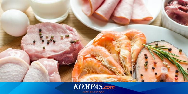 Sumber Protein Hewani dan Nabati