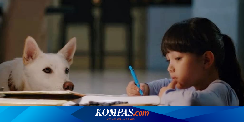 4 Rekomendasi Film Tentang Hubungan Manusia Dengan Hewan