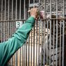 Pengunjung Ragunan Hari Pertama Dibuka Hanya 328 Orang