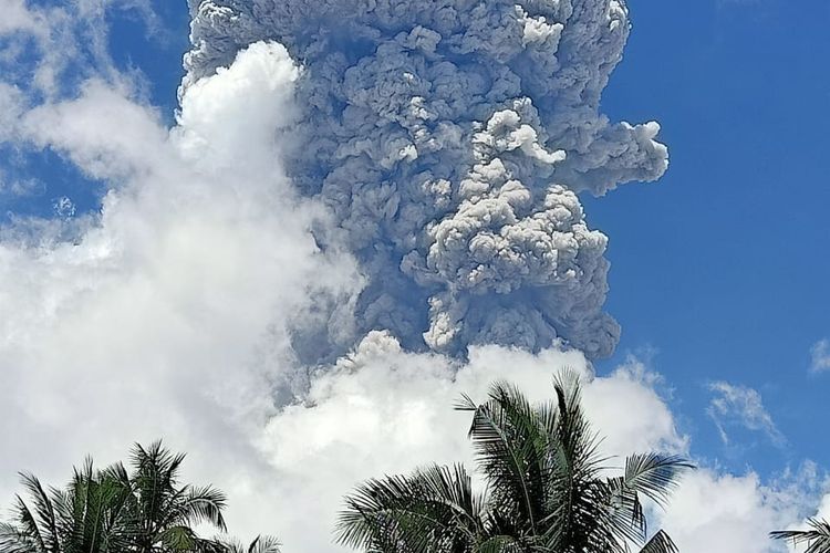 Gunungapi Ibu di Halmahera Barat, Maluku Utara kembali erupsi pada Minggu (2/6/2024) 