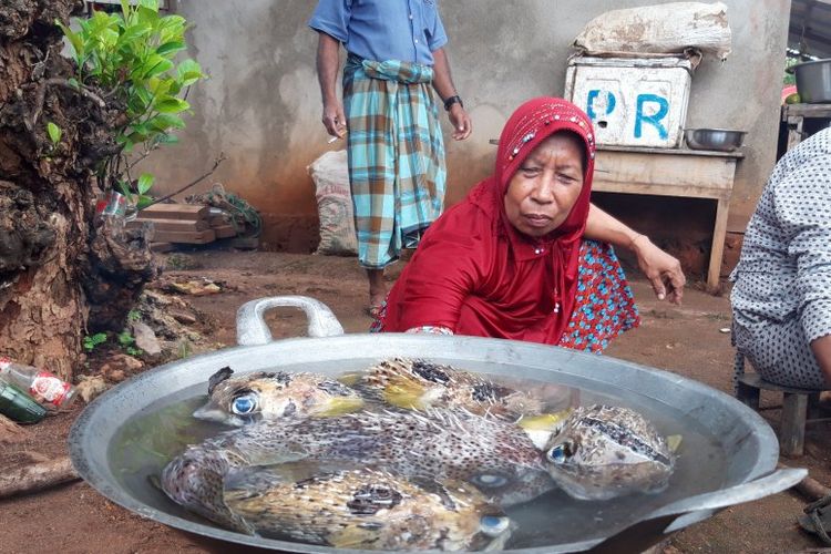 Perempuan di Desa Kulati memasak ikan hasil tangkapan di perairan laut daerah itu. (ANTARA/Muhammad Zulfikar)