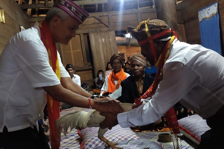 Tua adat Kampung Ruteng Puu.menyerahkan seekor ayam jantan kepada Capres Ganjar Pranowo saat dilangsungkan ritual adat, Jumat, (26/1/2024).