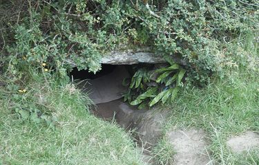 Oweynagat, Gua Kucing, atau Gua Menuju Neraka di Roscommon, Irlandia dianggap sebagai portal menuju dunia lain yang terbuka setiap tahun pada 31 Oktober.