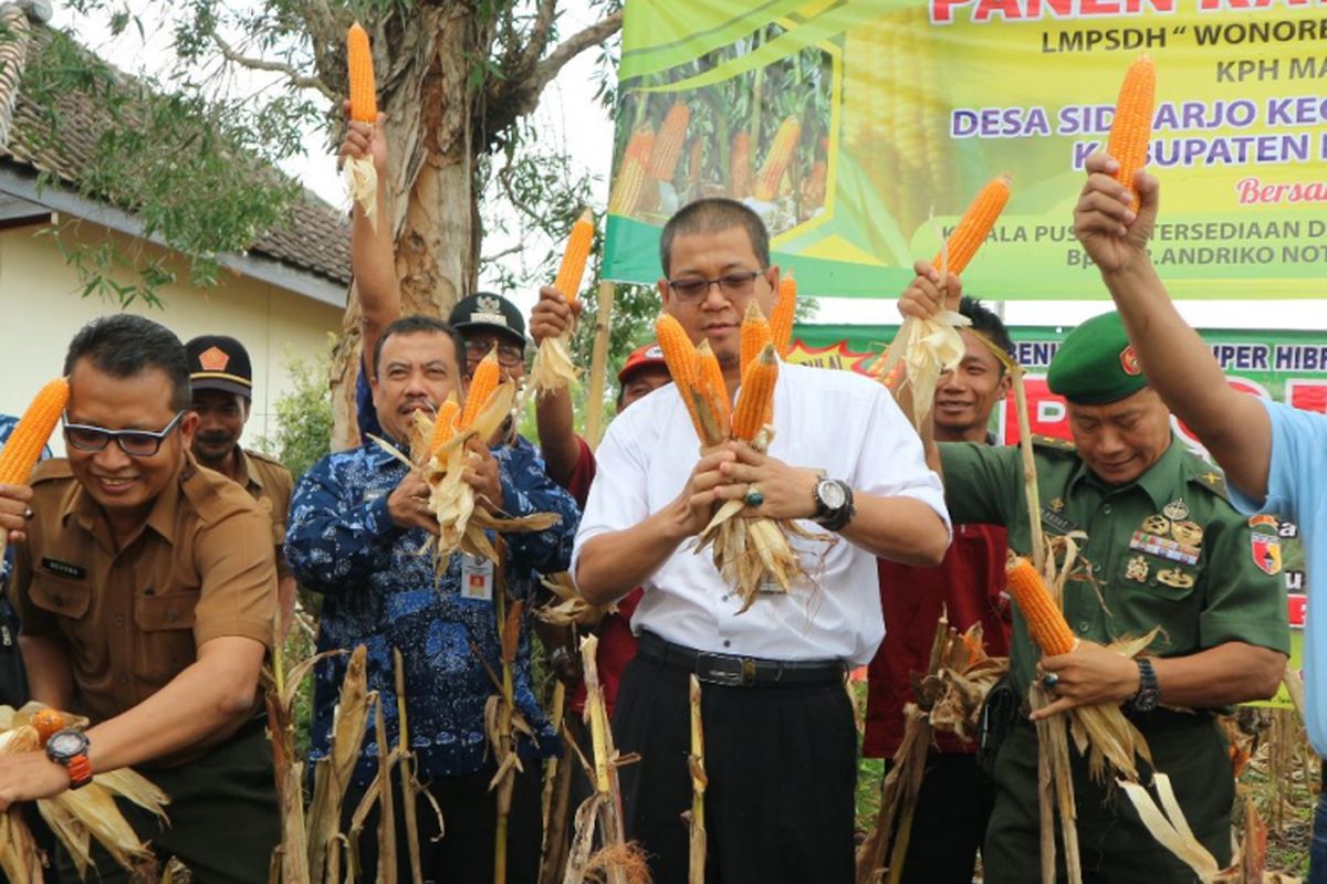 Kehadiran Bulog sebagai wakil pemerintah sangat dibutuhkan untuk menjaga stabilitas harga jagung di tengah masa panen raya