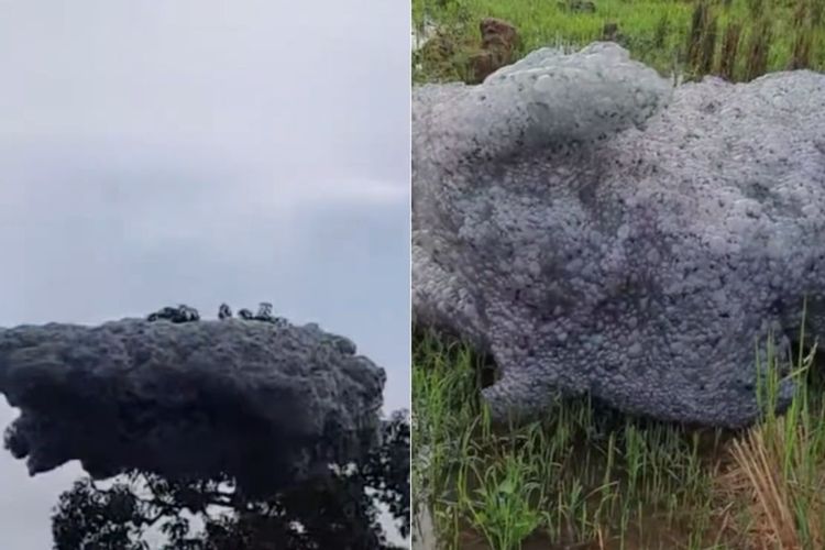 Tangkapan layar video ketika gumpalan hitam diduga busa yang menyerupai awan muncul di Subang, Jawa Barat pada Jumat (24/10/2025). Fenomena awan hitam di Subang jatuh ke sawah, BMKG pastikan bukan cuaca, diduga berasal dari limbah industri dan aktivitas manusia.