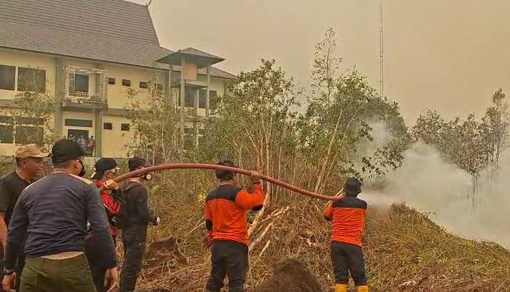 Karhutla Belum Usai, Lahan Hortikultura Palangka Raya Mulai Terdampak