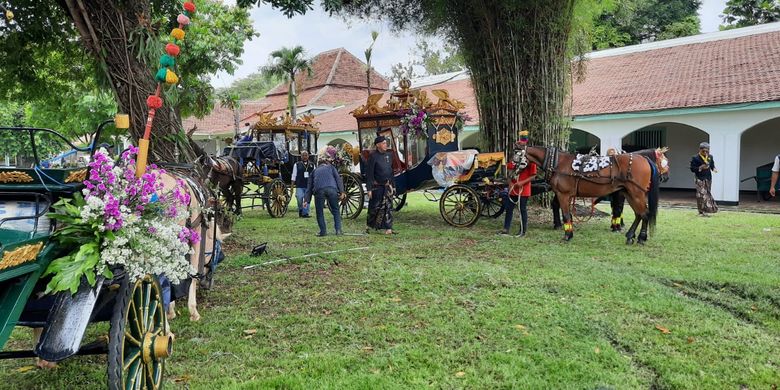 Melati dan Agustine, dua kuda yang dipersiapkan untuk menarik kereta kencana dalam acara Tingalan Jumenengan, atau Peringatan Naik Takhta Mangkunegara yang pertama di Pura Mangkunegaran, Solo, Jawa Tengah, Rabu (1/3/2023).