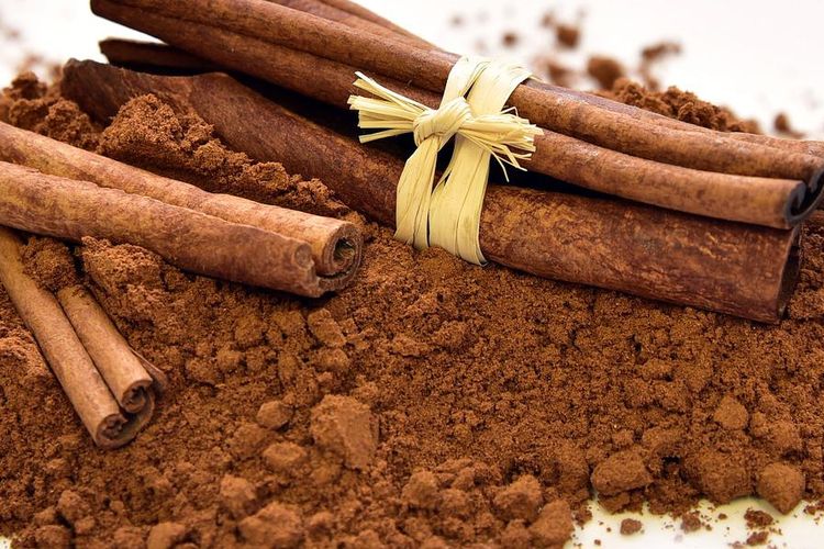 Ilustrasi kayu manis. 