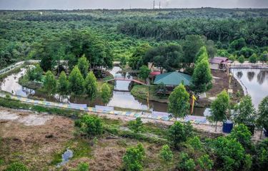 Pesona Desa Dayun di Siak, Punya Danau Rawa Gambut Terluas ke-2 di ...