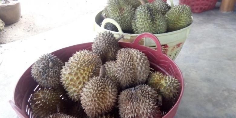 Durian monthong di Thailand, Jumat (18/9/2015).