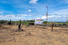 Halim Kalla Batal Penuhi Panggilan Polisi Terkait Kasus PLTU Kalbar