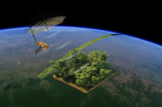 Satelit Biomassa Diluncurkan untuk Hitung Karbon Hutan 