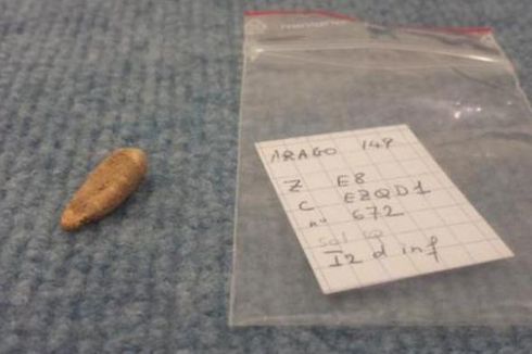 Arkeolog Remaja Temukan Gigi Manusia Purba Berusia 560.000 Tahun