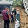 Nenek Pemeran Video TikTok Mandi Lumpur Dapat Ayam Petelur dari Mensos Risma