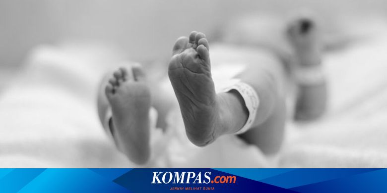 Pelajar SMP Buang Bayi yang Baru Dilahirkan di Sawah, Diduga Dihamili Pamannya