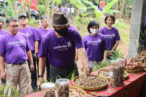 Hadiri Panen Raya Jahe dan Lengkuas dari Program Pemberdayaan Perempuan, Bupati Jekek: Ini Program Sangat Tepat