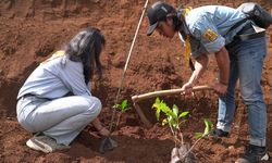 Mitigasi Bencana, Pertamina Patra Niaga Tanam 1.300 Pohon Saninten