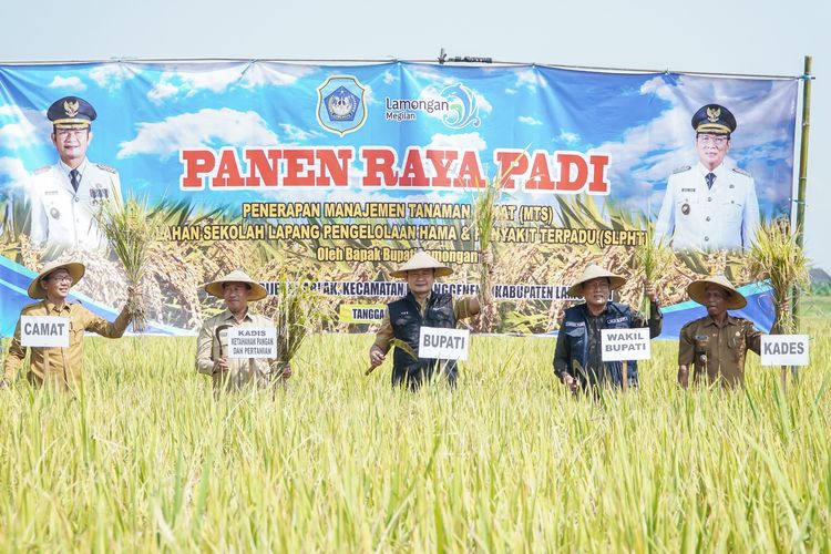 Panen raya  padi pada triwulan I-2024 di Lamongan berhasil sesuai jadwal dan menghasilkan provitas rata-rata 7,34 ton per hektar.