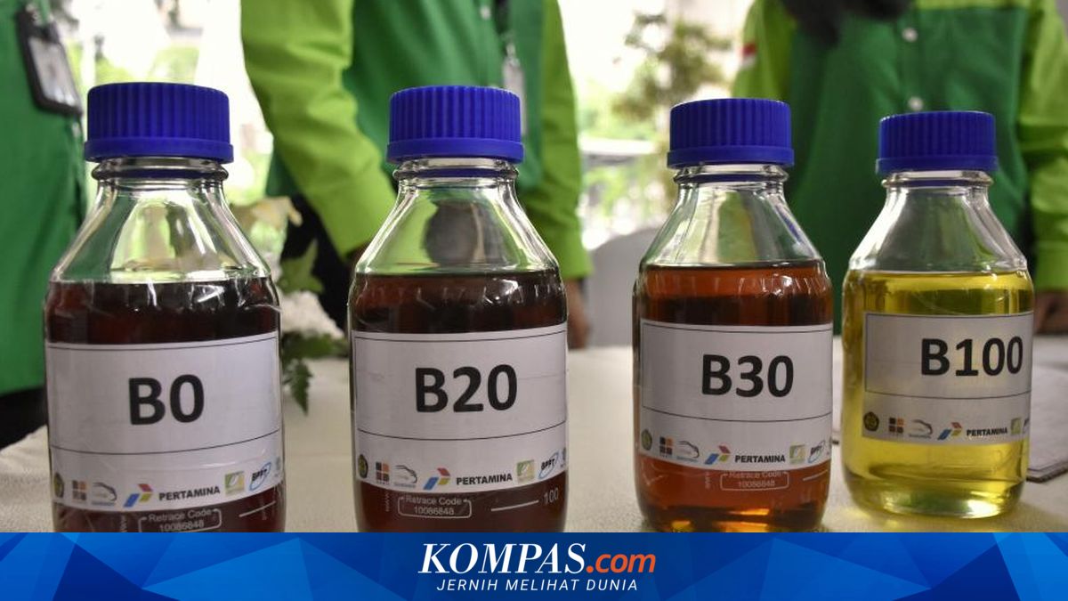 Sudah Resmi Diterapkan, Ini Spesifikasi Biosolar B30