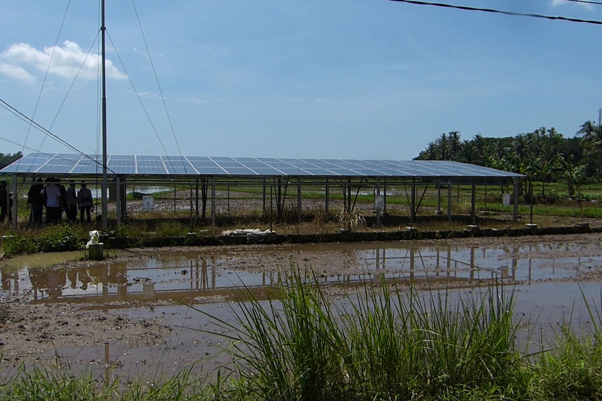 Melihat Transisi Energi di Pesisir Pantai Selatan Jawa, Berantas Kemiskinan dengan Energi Bersih