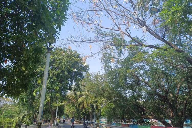 Ganggu Pengguna Jalan, Layangan Nyangkut di Pepohonan Jakut Akan Dibersihkan