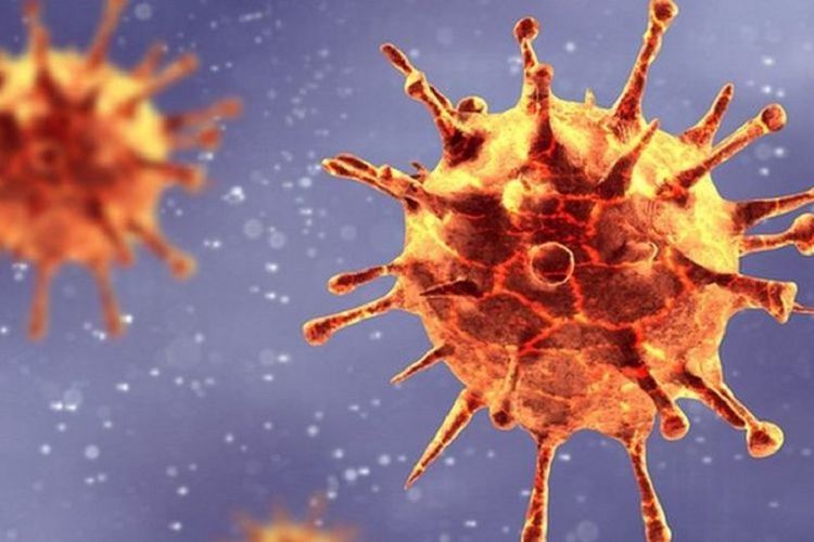 A new variant of the corona virus found in the UK has a mutation in the receptor-binding domain, which is used by the virus to infect human cells.