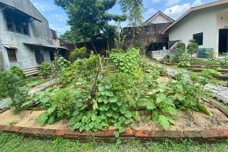 SD Kanisius Pucangsawit Solo Punya Kebun Sirkular, Bisa untuk Makan Bergizi Siswa