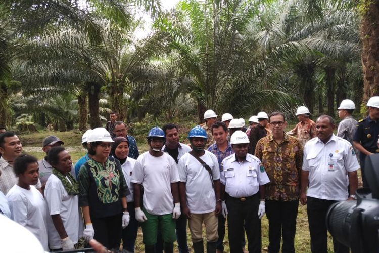 Menteri Keuangan Sri Mulyani Indrawati mengunjungi nasabah Lembaga Pembiayaan Ekspor Indonesia (LPEI) di Manokwari, Papua Barat, Rabu (19/12/2018).