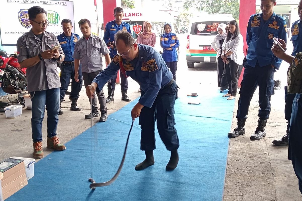 Petugas Damkarmat Kota Yogyakarta saat mengikuti pelatihan evakuasi ular