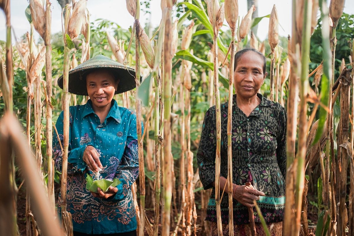 Pameran KAPAS: Healing Mother Earth, Healing Ourselves dari SukkhaCitta.