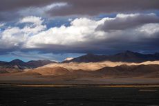 Dataran Tinggi Tibet Ternyata Pernah Punya Hutan Subtropis, Ini Buktinya...