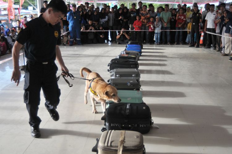 Petugas Bea dan Cukai dengan anjing pelacak memeriksa koper penumpang pesawat saat simulasi pencegahan peredaran narkoba masuk melalui bandara di Banda Aceh, Sabtu (11/8/2018). Simulasi itu untuk meningkatkan kemampuan petugas Bea dan Cukai dalam menangkal peredaran narkoba masuk ke Indonenseia melalui bandara maupun jalur laut. ANTARA FOTO/Ampelsa/wsj/18.