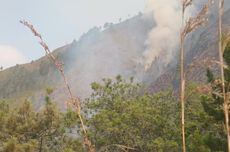 Tanggapi Isu Kebakaran Hutan, Sandiaga: Jangan Buang Puntung Rokok Sembarangan