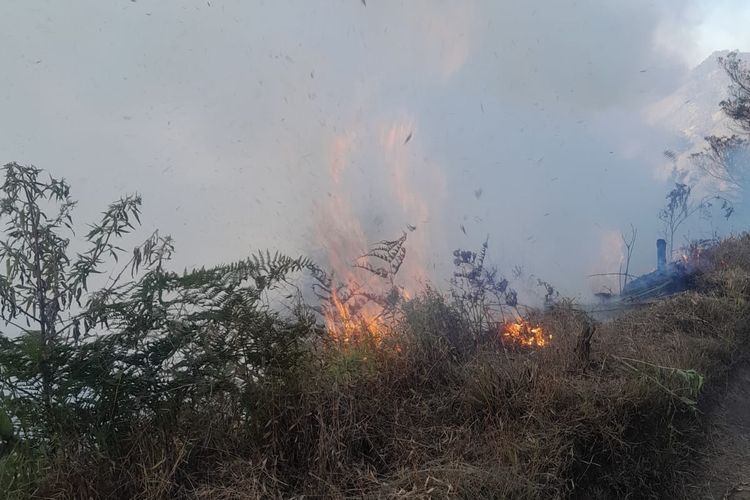 Padamkan Kebakaran di Gunung Bromo, Petugas Buat Sekat Bakar hingga Pakai Gebyok
