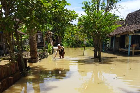 Bengawan Njero dan Bengawan Solo Meluap, 4.315 Rumah di Lamongan Dilanda Banjir